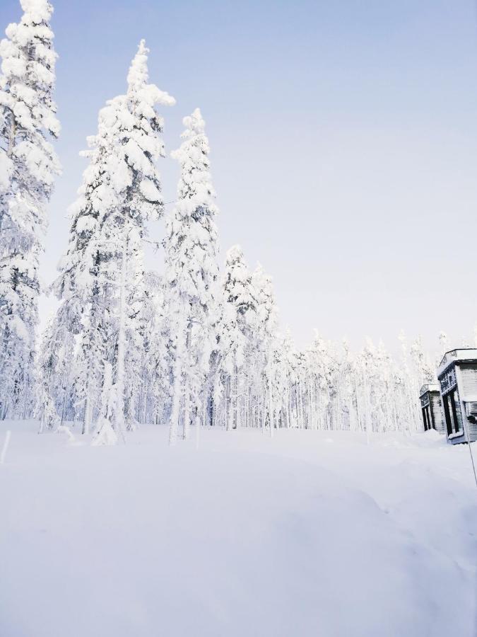 Levi Sky Igloo With Private Sauna And Hot Tub Exterior photo